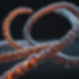 Visual representation of molecular stretching