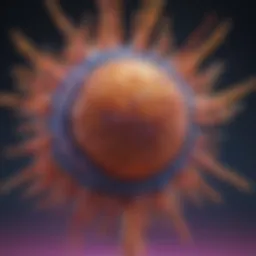 Diagram illustrating T Cell Receptor structure and function