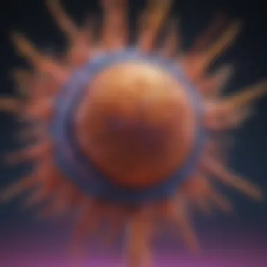 T Cell Receptor: Structure and Function Diagram illustrating T Cell Receptor structure and function