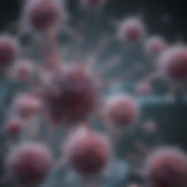 Applications of TCR Antibodies in Immunotherapy Chart showing TCR Ab applications in immunotherapy