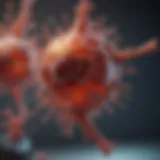 Diagram illustrating the mechanism of Circulating Tumor Cell isolation.
