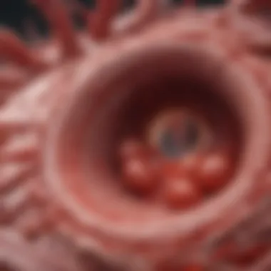 Visual representation of inflammatory response in arteries