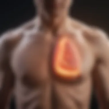 Advanced Treatment Options for Lung Cancer Visual representation of advanced treatment options for lung cancer