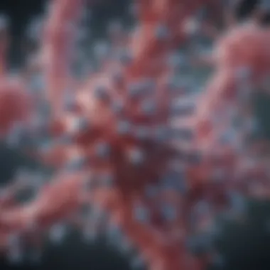 Detailed representation of monoclonal antibody structure