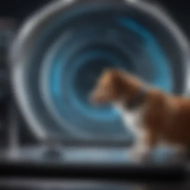 Future Directions in PET Technology Illustration of future advancements in PET scanning technology.