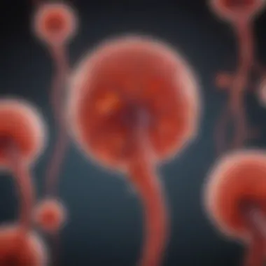 Platelet Activation Pathways Illustration of platelet activation pathways