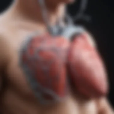 Clinical relevance of heart repolarization