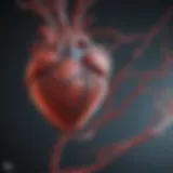 Electrophysiological properties of cardiac cells