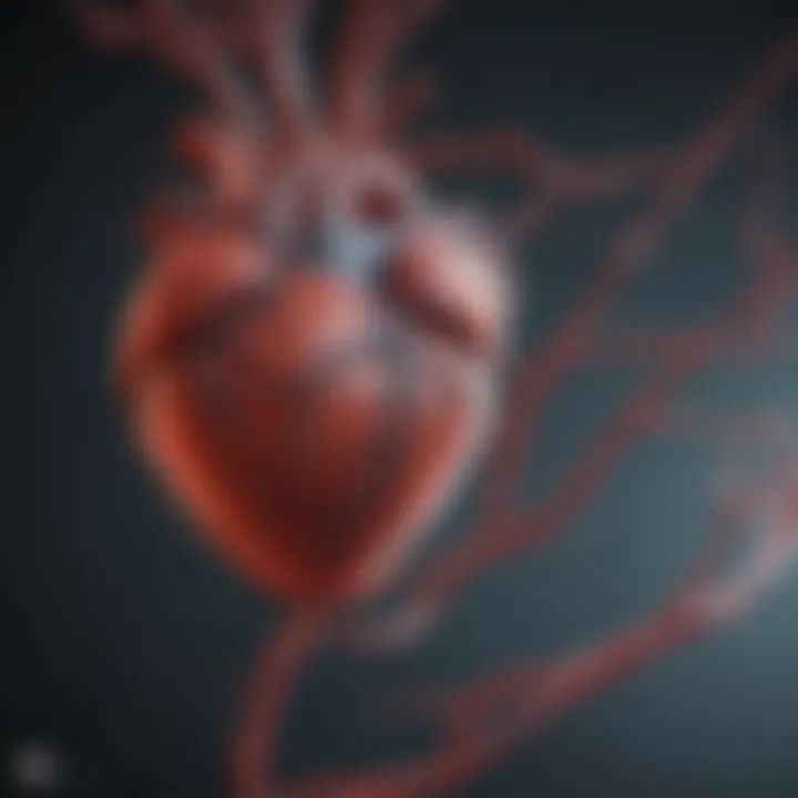 Electrophysiological properties of cardiac cells