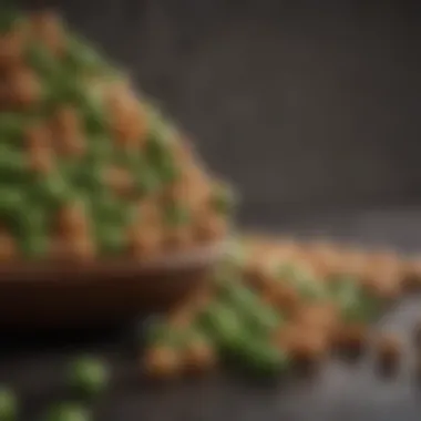 Digestibility of Pea Protein for Canine Health Digestibility of pea protein for canine health