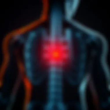 Notable Understanding the Symptoms of L1 Disc Herniation Notable Understanding the Symptoms of L1 Disc Herniation