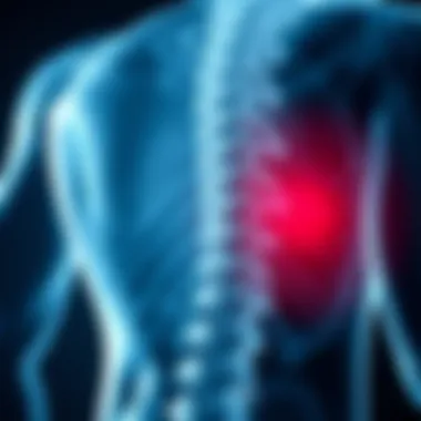 Understanding the Symptoms of L1 Disc Herniation Summary Understanding the Symptoms of L1 Disc Herniation Summary