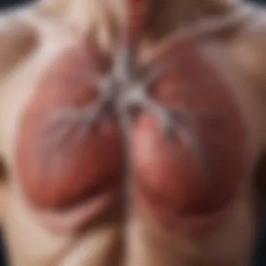 Visual representation of pulmonary embolism impact on the lungs