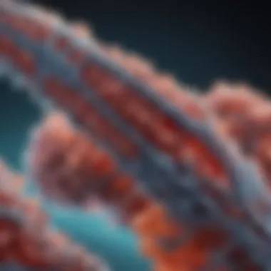 Interpreting Antibody Test Results Detailed view of tuberculosis antibody test results