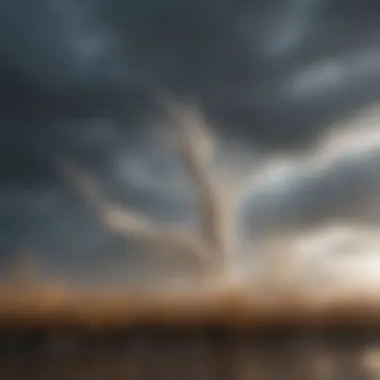 Influence of Wind Speed on Daily Weather Forecasting Visual representation of wind speed's influence on daily weather forecasting