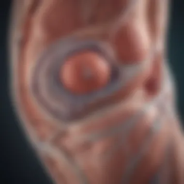 Stem Cell Differentiation in Knee Tissues Illustration of stem cell differentiation in knee tissues