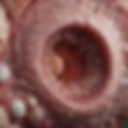 Microscopic view of vaginal squamous cell lesions